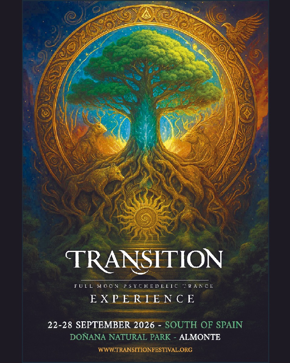Transition Festival 2026